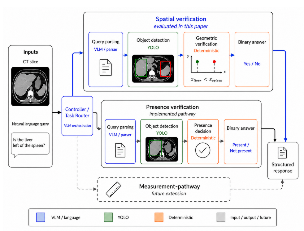 A Modular Agent for Reliable and Auditable Spatial Relation Verification in CT Scans teaser