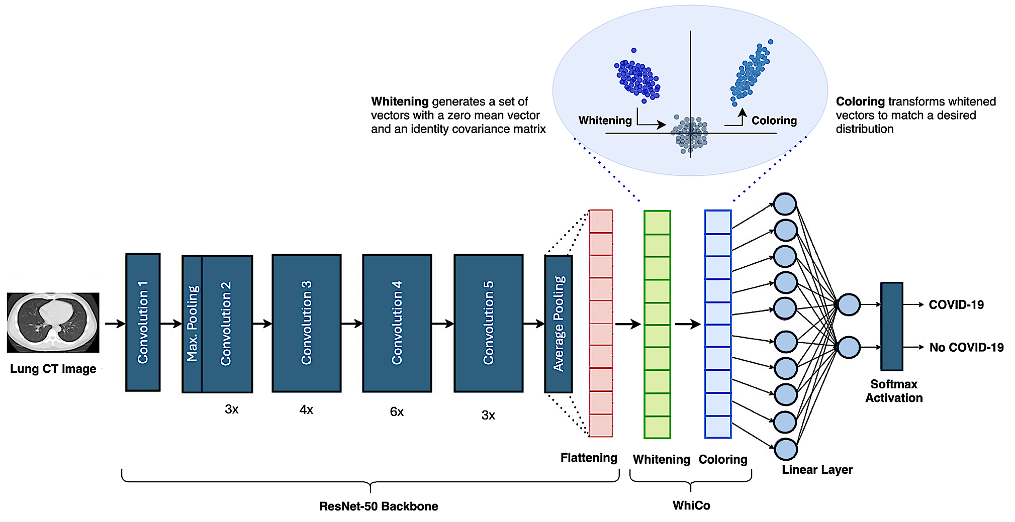 Investigating Test-Time Adaptation of Convolutional Neural Networks for Medical Image Analysis under Distribution Shifts teaser